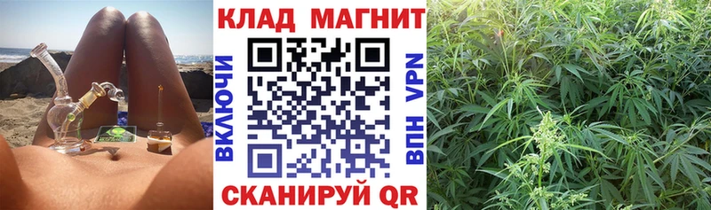 Как найти наркотики Каргат Гашиш  А ПВП  Мефедрон  Канабис 