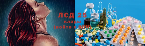 мяу мяу мука Алексеевка