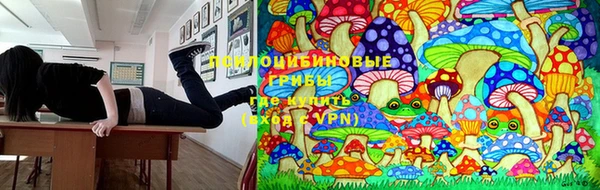 соль курить ск Алзамай