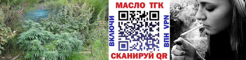 ТГК вейп  Каргат 