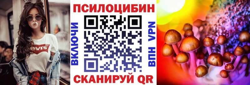 Псилоцибиновые грибы Psilocybine cubensis  Каргат 